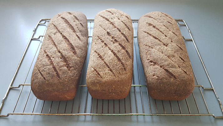 Saftig og glutenfritt surdeigsbrød