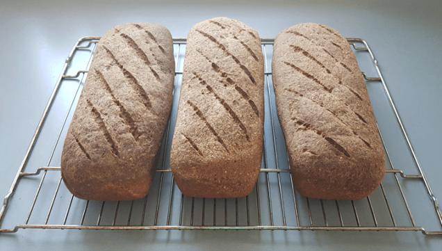 Saftig og glutenfritt surdeigsbrød